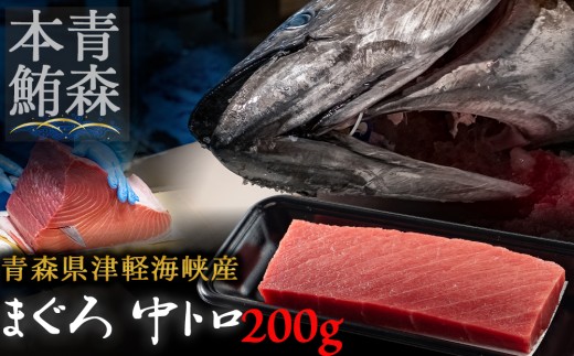 ＜引き締まった旨味＞津軽海峡産まぐろ(中トロ200g)【1047538】