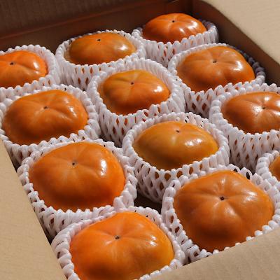 ふるさと納税 紀の川市 【産地直送】和歌山県産　柿　2.5kg　11玉〜12玉