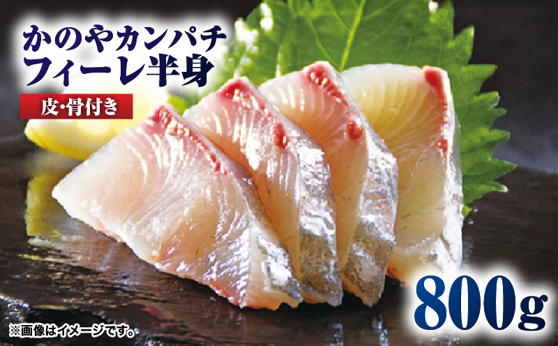 
1-1 かのやカンパチフィーレ
