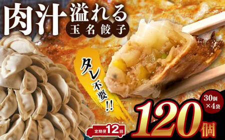 【 定期便 12回 】タレ不要? 肉汁 溢れる『 玉名餃子 』 120個 （30個×4袋）| 餃子 ぎょうざ お手軽 小分け 冷凍 冷凍食品 おかず 豚肉