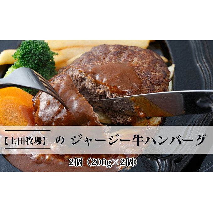 【ふるさと納税】ジャージー牛使用 ハンバーグ 200g 2個 土田牧場 ジャージー牛 牛肉 牛ハンバーグ 惣菜 簡単調理 温めるだけ レトルト レトルト食品 レトルトハンバーグ 加工肉 秋田 秋田県 にかほ市
