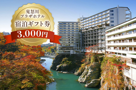 鬼怒川プラザホテル 宿泊ギフト券 3000 [0019]