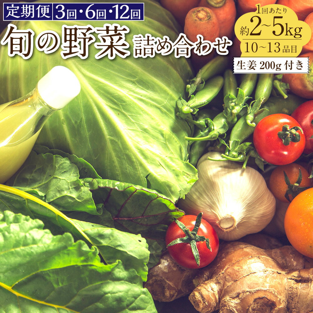 【ふるさと納税】＜選べる定期便＞旬の野菜の詰め合わせと栽培期間中農薬不使用の生姜200g付き 1回あたり2～5kg 3回 6回 12回 野菜 お野菜 旬 季節の野菜セット 新鮮 安心安全 産地直送 詰め合わせ やさい 自然 自然派 お取り寄せ 高知県 香美市 送料無料