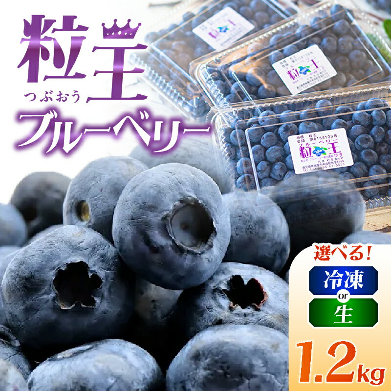 【ふるさと納税】＜選べる＞ 粒王 ブルーベリー 1.2kg 冷凍 or 生 400g × 3P 粒が大きいものを厳選 ブルーベリー 果物 果実 フルーツ 大粒 おいしい ブルーベリー観光農園ワダ ふるさと納税 鹿児島 鹿屋市 おすすめ ランキング プレゼント ギフト