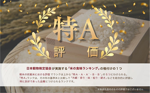 【令和7年産・無洗米・真空パック】長沼町産ゆめぴりか 2kg×1袋