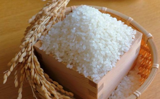 C330　自然栽培米「ひのひかり」白米5kg