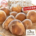 【ふるさと納税】3か月定期便 訳あり 生椎茸 合計約3kg（250g×12袋） - しいたけ きのこ キノコ 野菜 生しいたけ 不揃い 個包装 無農薬 化学肥料不使用 お鍋 汁物 国産 やまももファーム 高知県 香南市 【冷蔵】Wyo-0016