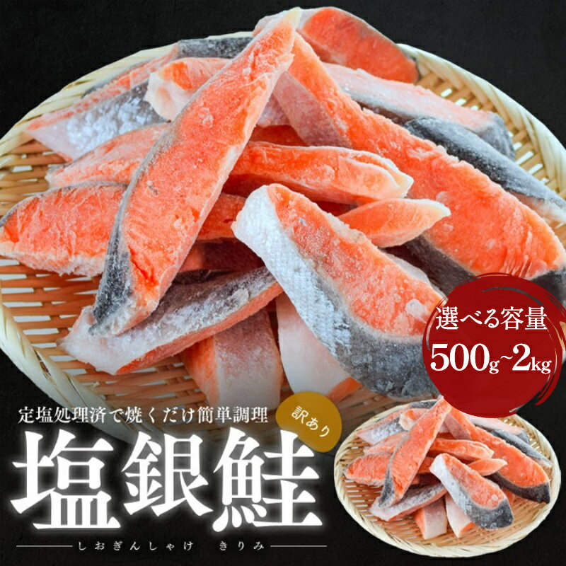 【ふるさと納税】塩サケ 訳あり 塩銀鮭 切り身 選べる セット 銀鮭 しゃけ 規格外 おかず 惣菜 冷凍 魚