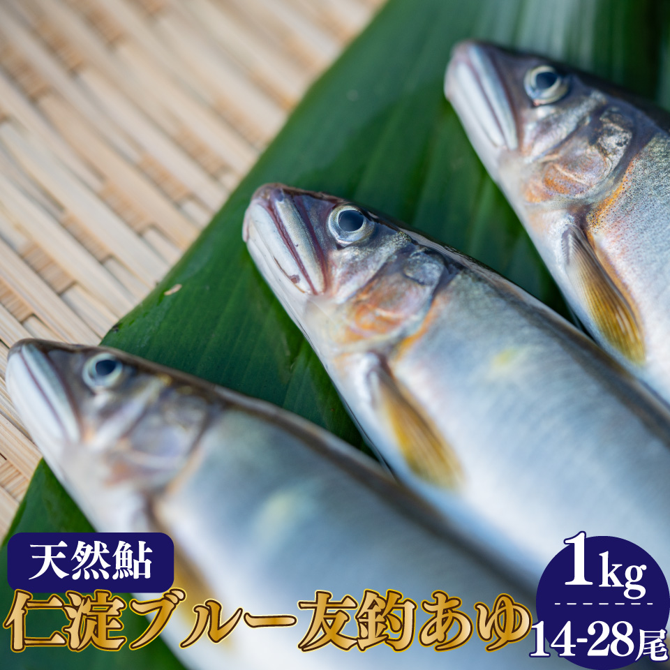 有名料亭も絶賛！鮎屋仁淀川の仁淀ブルー友釣り天然鮎 約1,000g