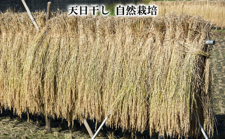 【令和7年産新米】 天日干しの手間をかけた (新米はえぬき) 丹野さん家のコメ 精米 1kg FY25-333