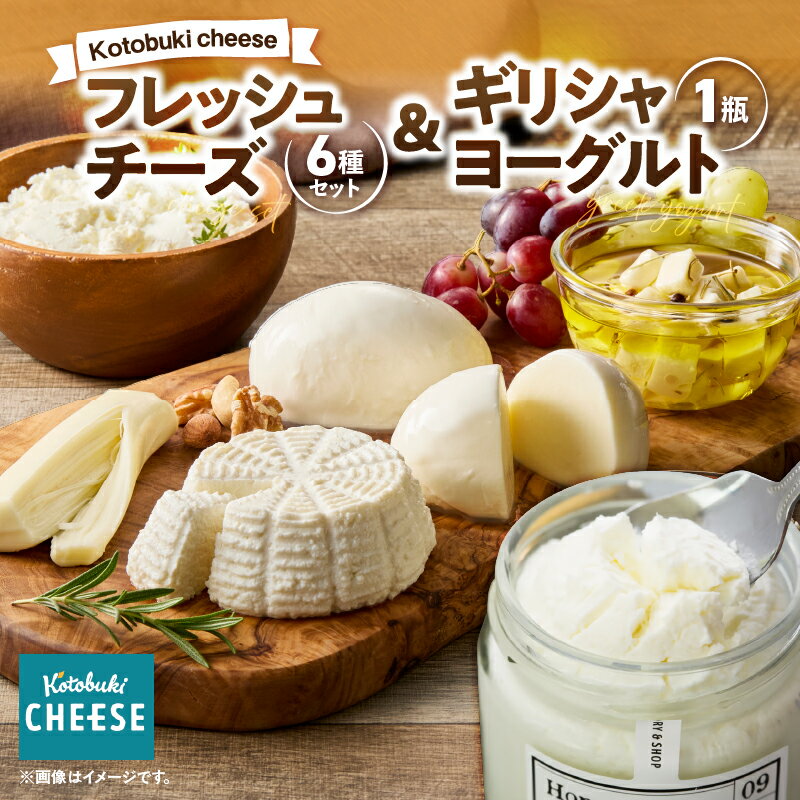 【ふるさと納税】 フレッシュチーズ 6種 ギリシャヨーグルト セット チーズ 国産 乳製品 モッツァレラ リコッタ ストリング ギリシャ ヨーグルト 詰め合わせ 詰合せ バラエティー kotobuki cheese ふるさと納税 鹿児島 鹿屋市 おすすめ ランキング プレゼント ギフト