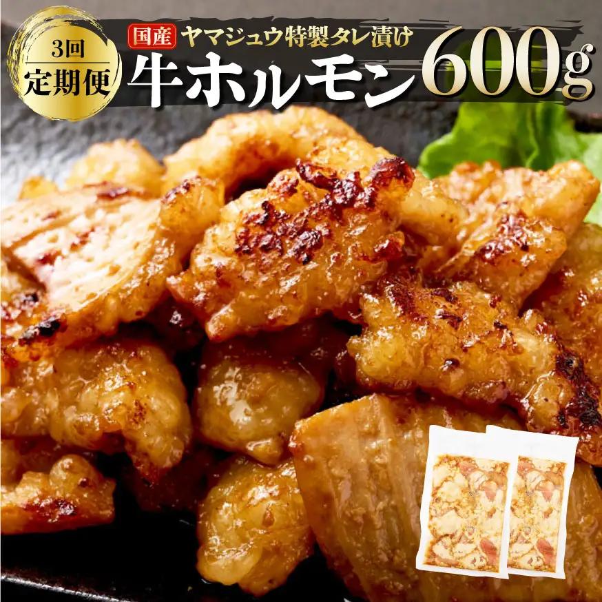 ヤマジュウの特製タレ漬け！国産牛ホルモン６００ｇ【３回定期便】 頒布会