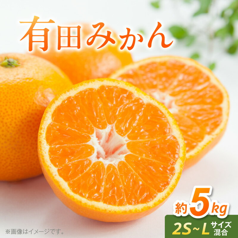 【ふるさと納税】【2025年先行予約】 有田みかん 5kg 2S～Lサイズ混合 【ミカン 柑橘 温州みかん 和歌山 贈答 ギフト】