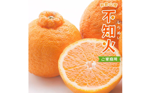 不知火 家庭用 2.5kg+250g（痛み補償分）/ みかん 訳あり しらぬい 光センサー 選別 デコポン 柑橘 晩柑 和歌山 甘い 8000円 ※2027年2月上旬～4月上旬ごろに順次発送予定 ※北海道・沖縄・離島への配送不可【ikd010-c-2d5C】