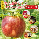 【ふるさと納税】【旬の贈り物】奥久慈りんごとおまかせ定期便（3回コース）※11月発送開始(BJ004)