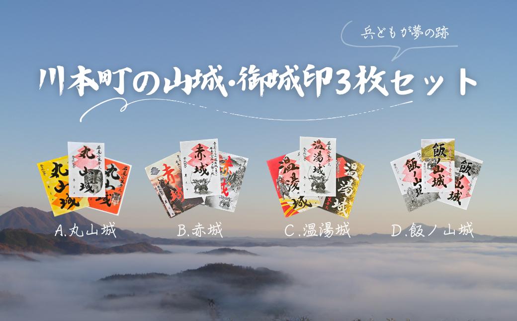 
                  390335　川本の山城・御城印3枚セット
                