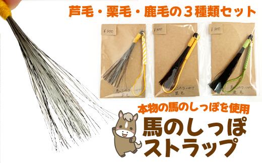 【ふるさと納税】 おすすめ 雑貨 馬の毛 本物 アクセサリー 馬のしっぽ ストラップ 3種類 セット ( 栗毛 / 鹿毛 / 芦毛 ) うま ウマ グッズ 飾り 幸運 日用品 ラッキー ラッキーアイテム お守り 厄除け 厄除 厄よけ 尻尾 【馬っこパーク・いわて】 岩手県 滝沢市 送料無料