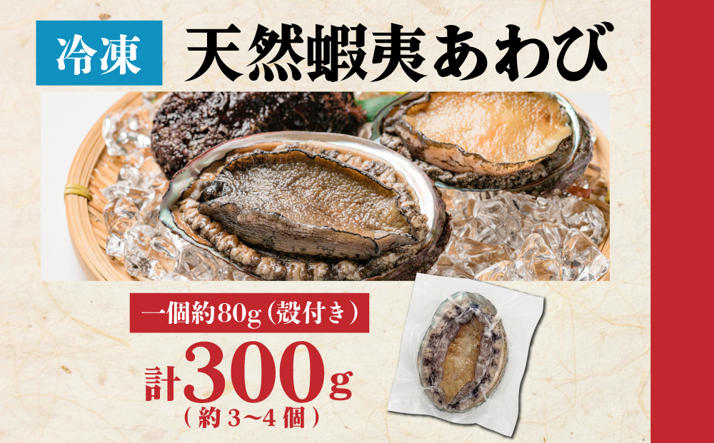 ＜個包装で食べやすい！＞ 天然 蝦夷あわび 計300g 【mh-0935】 | 北海道 あわび 高級 冷凍 冷凍あわび 海鮮 天然 アワビ 鮑 刺身 awabi 小分け 個包装 大容量 北海道 登別市 ギフト