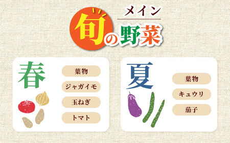 大村産とれたてお野菜おまかせセット(8～10種) 大村市 かとりストアー[ACAN015]