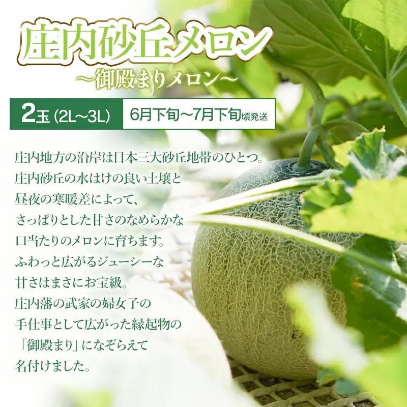 【令和8年産先行予約】鶴岡食べきりフルーツ定期便（3回お届け）　庄内砂丘メロン・シャインマスカット＆ピオーネ・庄内柿 山形県 鶴岡市