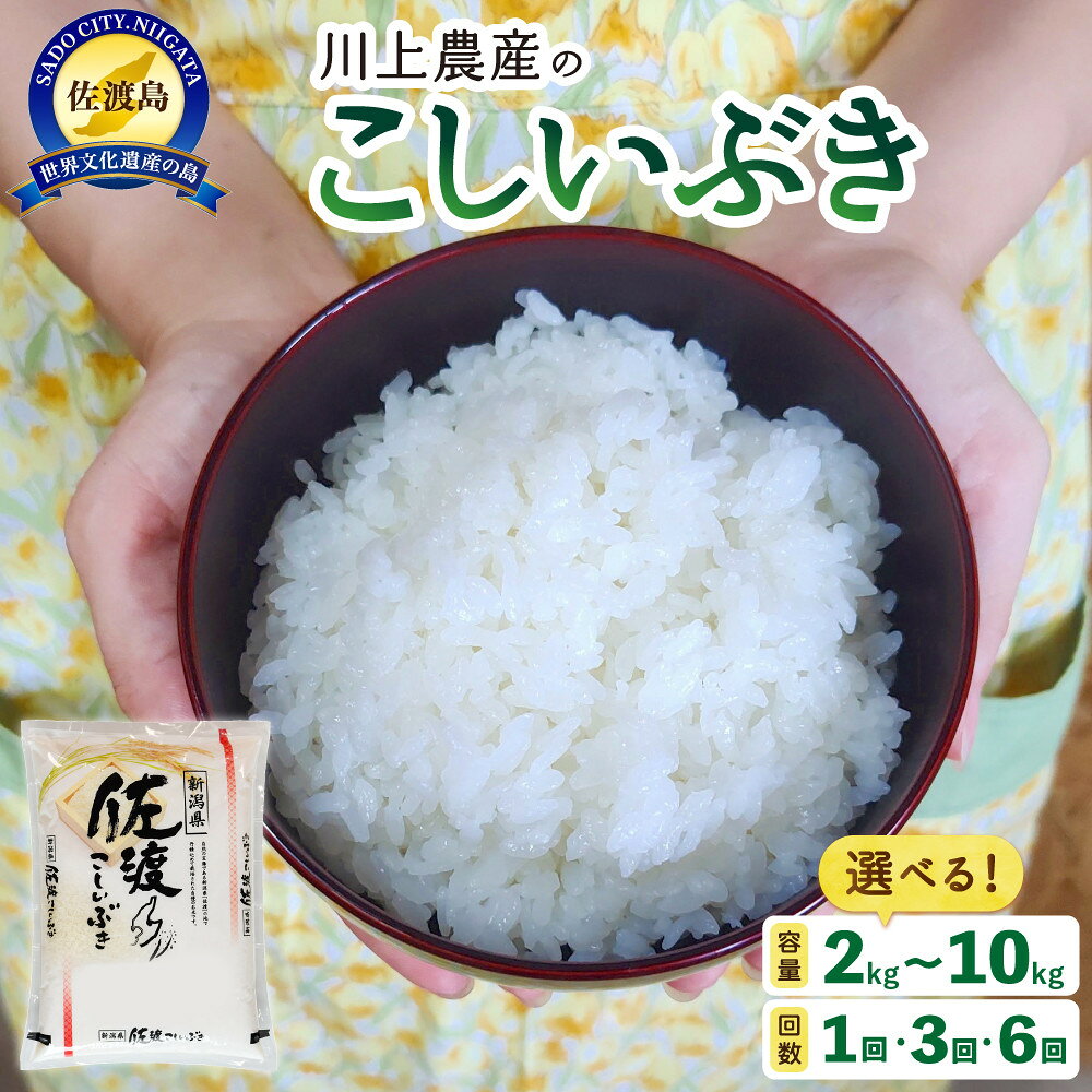 【ふるさと納税】【レビューキャンペーン実施中！】【容量選択可】【定期便もあり】令和7年産 佐渡 川上農産のこしいぶき 2kg~10kg | お米 こめ 白米 食品 人気 おすすめ
