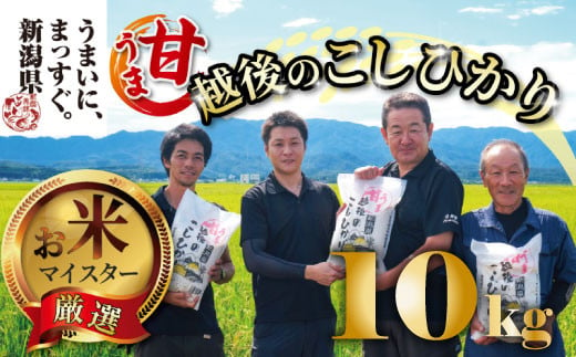 
            【令和6年産】 コシヒカリ 10kg 5kg 2袋 甘うま越後のこしひかり 越後 えちご 特別栽培米 新潟 コメ こめ お米 米 しんまい 新潟県 新潟米 新発田市 新発田産 斗伸
          