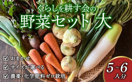 丸山農園の野菜セット 大セット 5~6人用 おまかせ 6?8品目 無農薬 くらしを耕す会 野菜 やさい サラダ 健康 人参 玉ねぎ 大根
