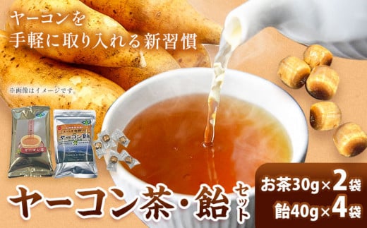 《事業者取り消し》ヤーコン茶・飴セット④ ヤーコン茶2袋 ヤーコン飴4袋 株式会社サンヤーコン徳島《90日以内に出荷予定(土日祝除く)》徳島県 美馬市 送料無料 st-p