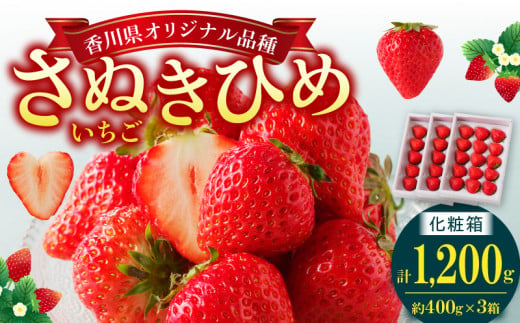 高松産季節の果物＜さぬきひめいちご化粧箱＞約400g×3箱【2025年2月上旬～2025年4月下旬配送】