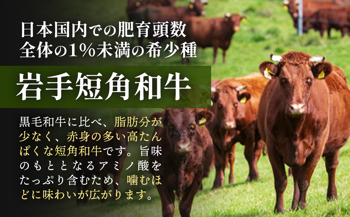 【岩手短角和牛】生ハム（セシーナ36ヶ月熟成）30g×3パック 長期熟成 生ハム セシーナ 和牛 受賞 つまみ 牛肉 肉 お肉 熟成 国産 令和の虎 通販の虎 日本の宝物 グランプリ受賞 岩手県 岩手