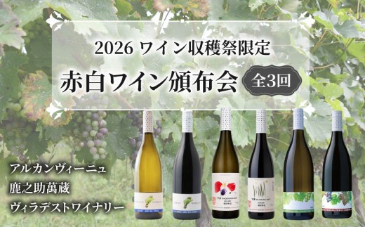 
                  【とうみワイン収穫祭限定！】赤白ワイン頒布会　全３回｜アルカンヴィーニュ 鹿之助萬蔵 ヴィラデストワイナリー
                