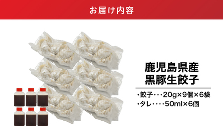 1609-1 鹿児島県産 黒豚生餃子 （20g×9個×6袋） KN065-001-01 肉 豚肉 餃子 惣菜 総菜