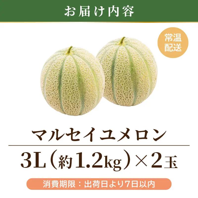 マルセイユメロン 2玉 (1玉 約1.2kg前後) 2027年6月中旬以降順次発送 めろん フルーツ [A-19008]