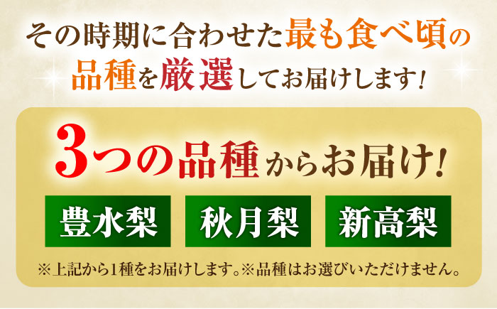 【先行予約】厳選おまかせ梨 約10kg 梨 豊水梨 秋月梨 新高梨 果物 フルーツ 【日本フルーツ株式会社】 [ZFJ068]