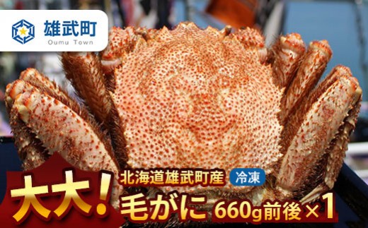 
                  オホーツク産 大 毛ガニ 冷凍 660ｇ かに 蟹ミソ かにみそ 焼きがに かに鍋 北海道 ふるさと納税 雄武 雄武町【12040AA0101】
                