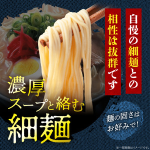 【福岡県豚骨ラーメン】　博多とんこつラーメン(10食）_博多 とんこつラーメン 10食 豚骨 ラーメン スープ セット 細麺 常温 半生 生麺 簡単調理 お手軽 中華 こってり 濃厚 本場 九州 ソウ