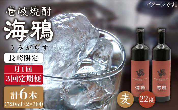 
            【全3回 定期便 】麦焼酎 海鴉 25度 720ml 2本入りセット 《 壱岐市 》【天下御免】[JDB110] 45000 45000円
          