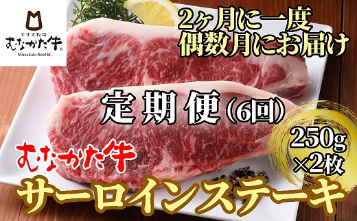 【偶数月にお届け】むなかた牛サーロインステーキ 500g（250g×2枚）定期便【すすき牧場】_HB0121