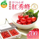 【ふるさと納税】 《2025年先行予約》 山形県産 さくらんぼ 紅秀峰 約350g×2パック（L～2Lサイズ） 果物 フルーツ 山形県 中山町 F4A-0417