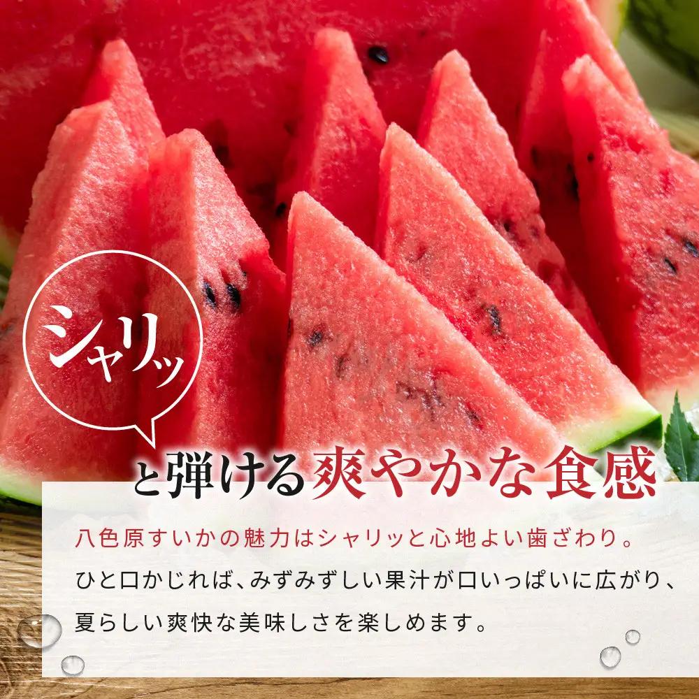 【高級】八色原すいか小玉２玉 | すいか