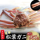 【ふるさと納税】 【魚倉】タグ 付き 生 松葉ガニ （特大950g） ズワイガニ 松葉蟹 カニ かに かにしゃぶ 【11月から3月発送予定】