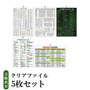 【ふるさと納税】 受験教材　クリアファイル5枚｜茨城県 つくば クリアファイル 文房具 教材 ツール 高校受験 暗記 記憶 視覚 勉強 学習 受験 テスト 試験 隙間時間 中学生 理科 国語 数学 歴史 英語 5教科 セット フライング・エッグ 人気 おすすめ
