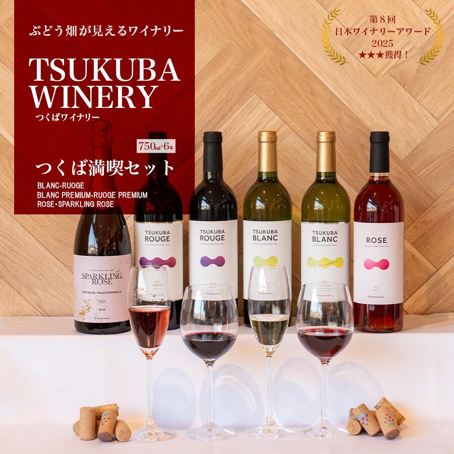 【ふるさと納税】ワイン つくばワイナリー 満喫セット | お酒 葡萄 ぶどう ブドウ 茨城県 つくば市 赤ワイン 白ワイン ロゼワイン 飲み比べ
