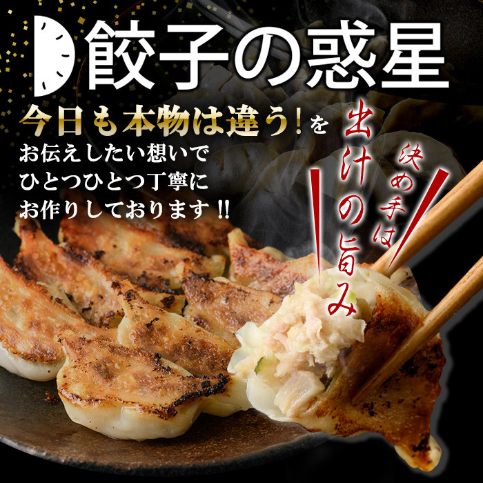 餃子の惑星の４種類の餃子セットです！