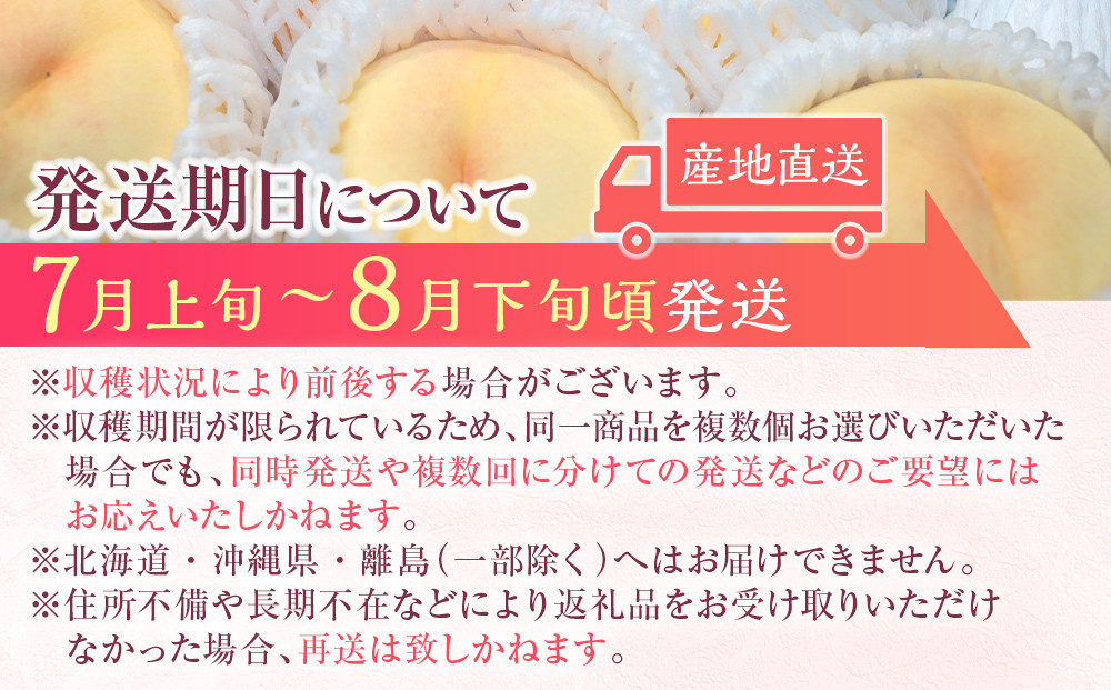 岡山県産 桃 岡山白桃 2024年 先行予約 エース 3玉×約200g 計600g Lサイズ 早生種・中生種 もも モモ フルーツ 果物 ギフト