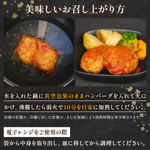 自家製 煮込み ハンバーグ 国産牛 国産豚 180g×4パック 720g 個包装 湯煎可 温めるだけ 簡単 レンジ 牛山精肉店 特製 手作り セット 沼津 静岡