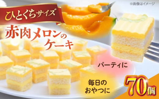 【訳あり】赤肉メロンのケーキ シートケーキ けーき スイーツ めろん 赤肉メロン めろん メロン パーティ ピューレ ソース カット済 横須賀  【ファミール製菓株式会社】 [AKCI025] 7000円 7千円