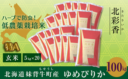 2026年3月発送 令和7年産 ゆめぴりか 玄米 100kg 一括発送 【北彩香】| 妹背牛産 北海道 米 道産 特A