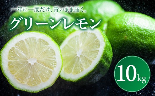 【選び抜いた一箱】 鮮烈な酸味 【グリーンレモン】 10kg 愛媛県産 【2026年9月下旬頃から順次発送】 | れもん レモン lemon 檸檬 訳あり フルーツ 柑橘 果物 おすすめ お勧め お取り寄せ ギフト 愛媛県 松山市