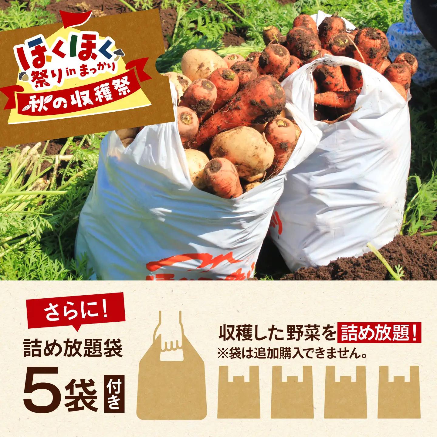 【9月6日開催】真狩村を楽しむ！ いも掘り会場優先入場券 1枚 [BPAK003] 体験 北海道
